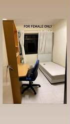 Blk 446 Choa Chu Kang Avenue 4 (Choa Chu Kang), HDB 5 Rooms #604055261